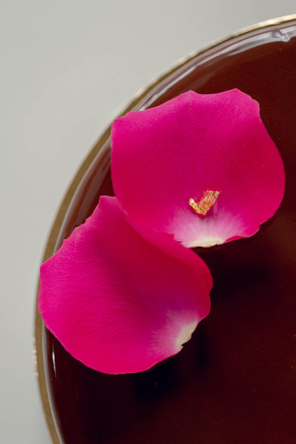 Ganze Torte Mousse au Chocolat