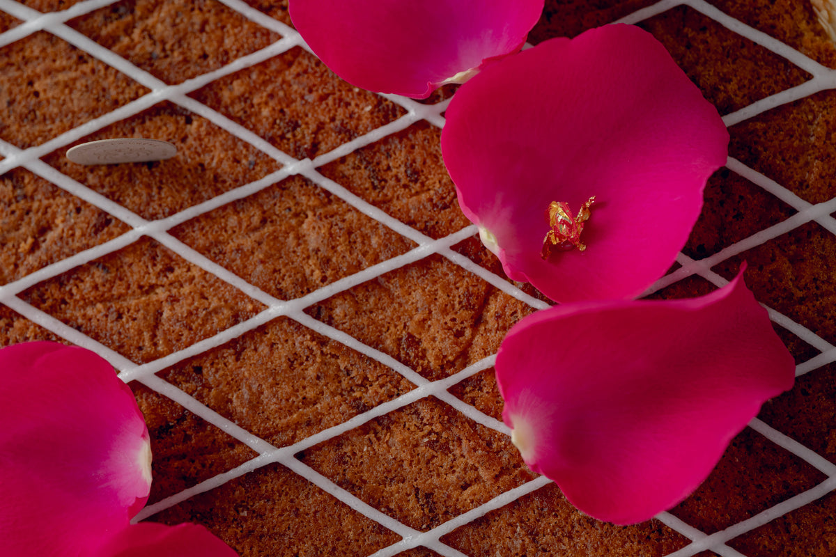 Ganzer Kuchen Karottentorte