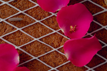 Ganzer Kuchen Karottentorte