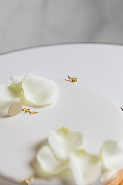 Ganze Torte "Tarte á la Vanille"